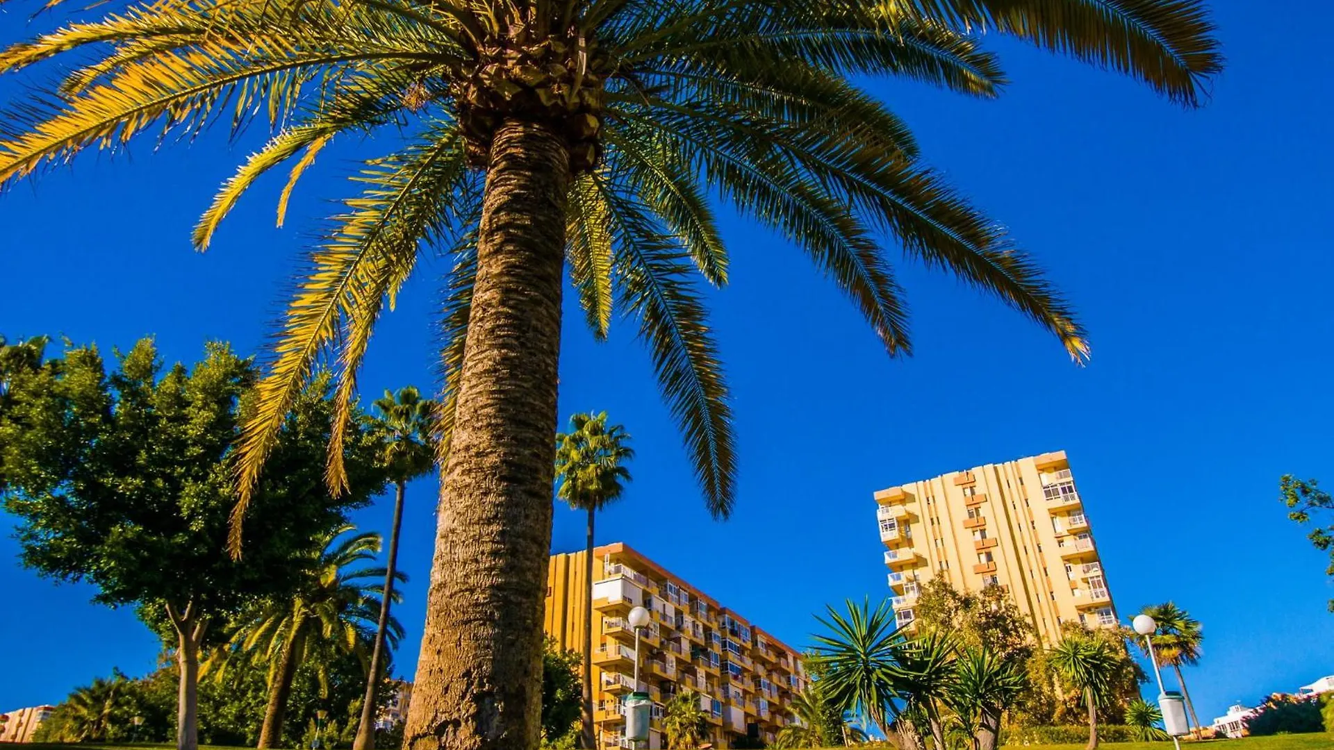 4 Jupiter Estudio- Vista A La Piscina - Playa A 700 Metros بينالماذينا 0*,  إسبانيا