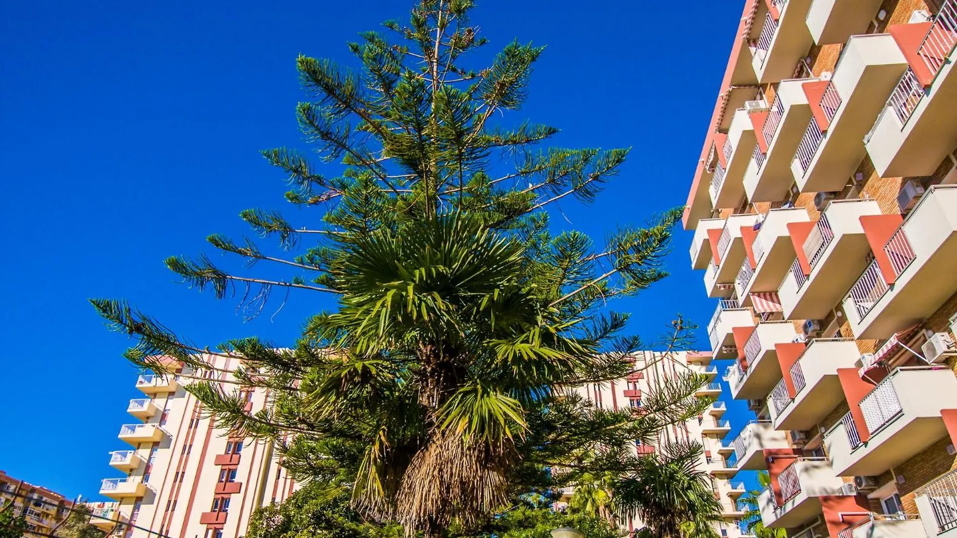 4 Jupiter Estudio- Vista A La Piscina - Playa A 700 Metros بينالماذينا 0*,  إسبانيا